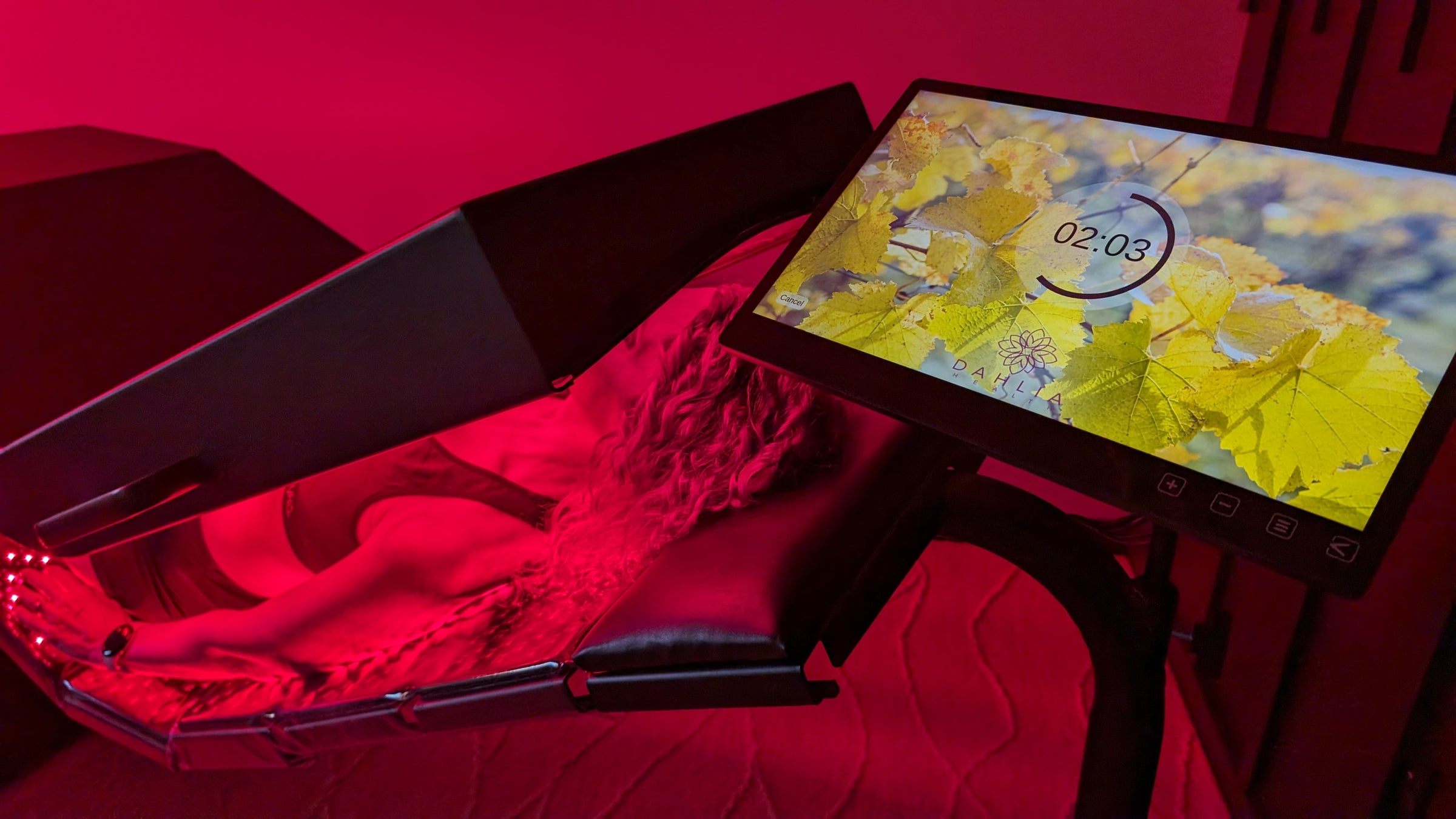 1112 タイニーアンエステル レッドヘッド Sherry Kline Red Velvet Sleigh Holiday Dog/Cat Bed 24